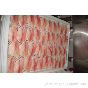 Filés de tilápia congelados peixes com pacote de vácuo